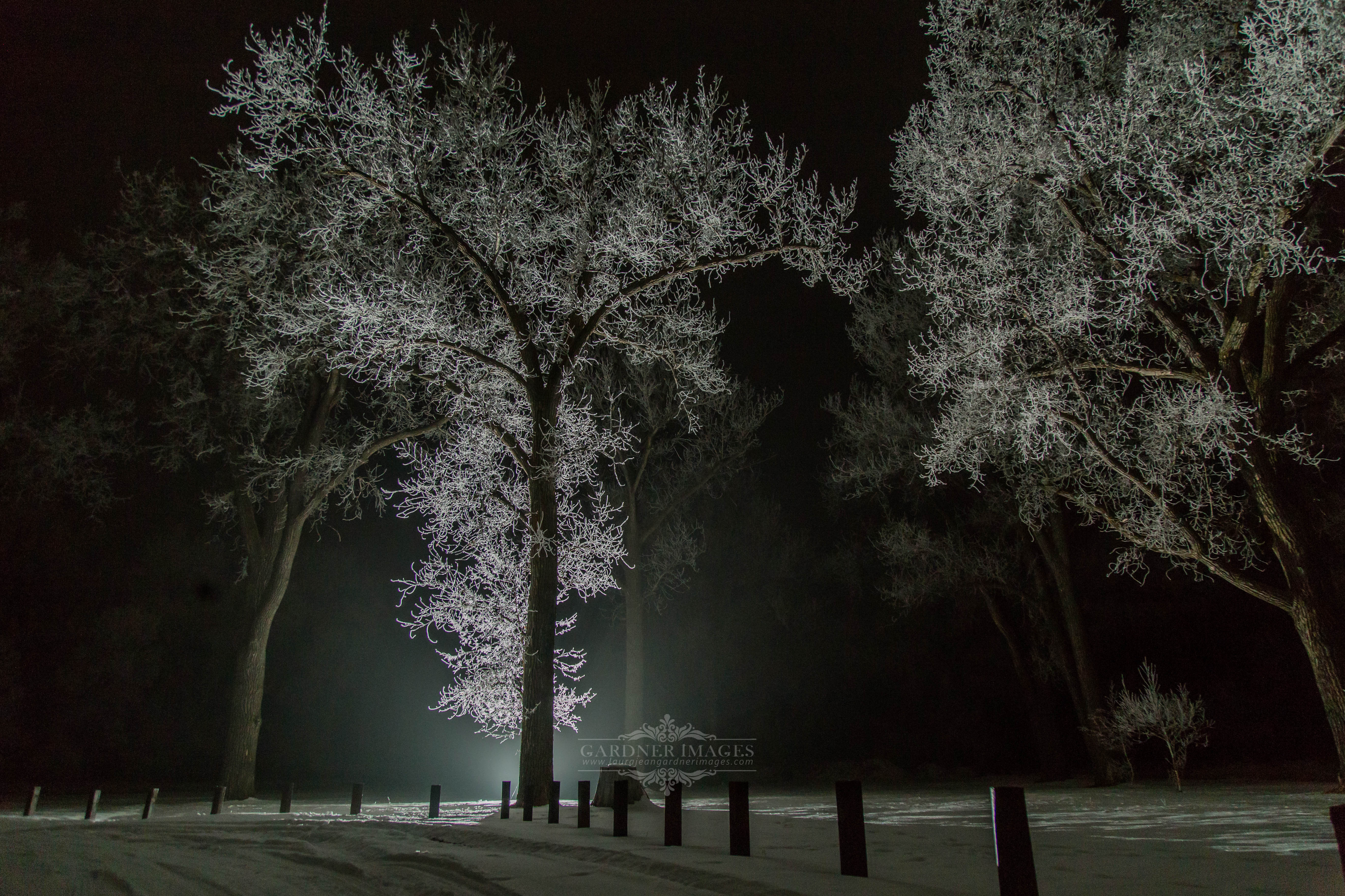 Late Night Frost SkySpy Photos, Images, Video