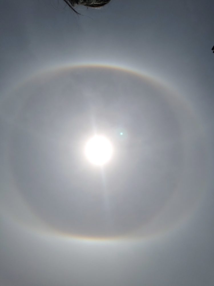 Sun rings SkySpy Photos, Images, Video